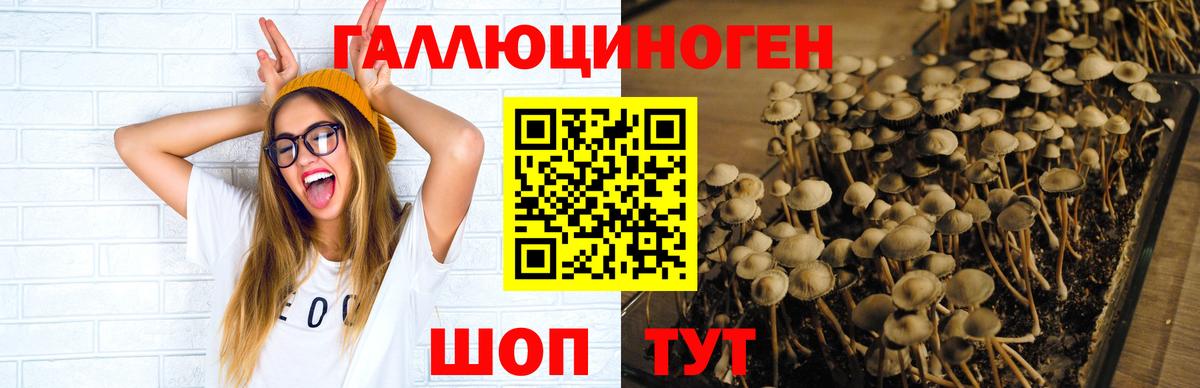 Галлюциногенные грибы Cubensis Аксай